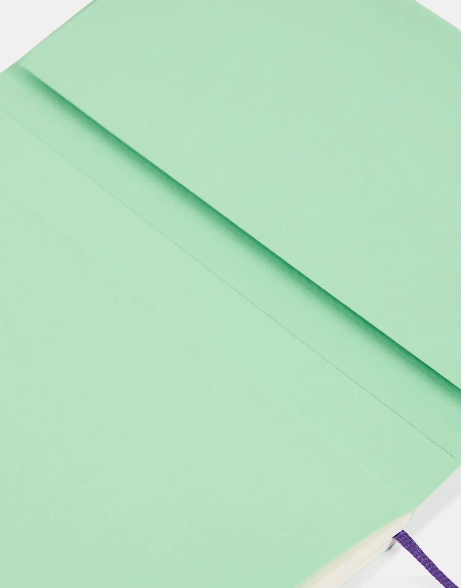 Natura Selection Agendas|Papelería^Agenda Escolar Color Semana Vista 2024-2025