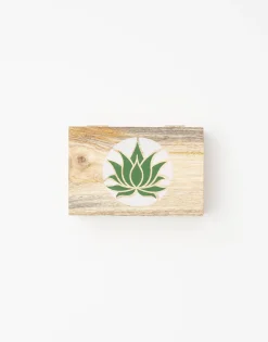 Natura Selection Decoración^Caja Lotus 144154-NATURAL