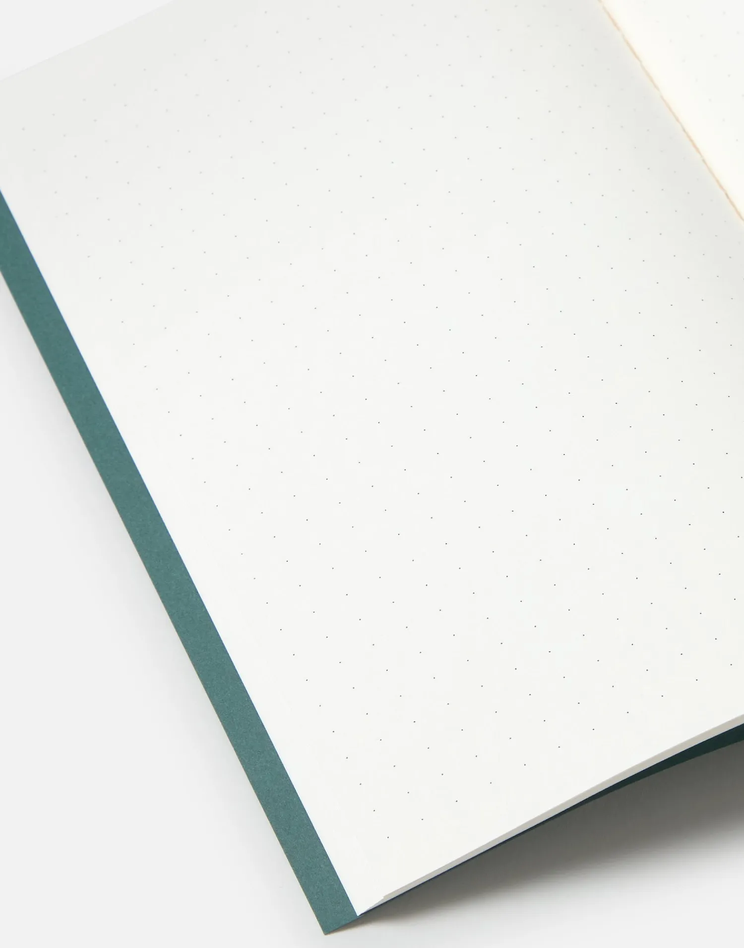 Natura Selection Papelería^Libreta Retro A5