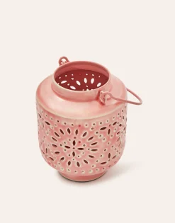 Natura Selection Iluminación|Decoración^Quinqué Metal Esmaltado